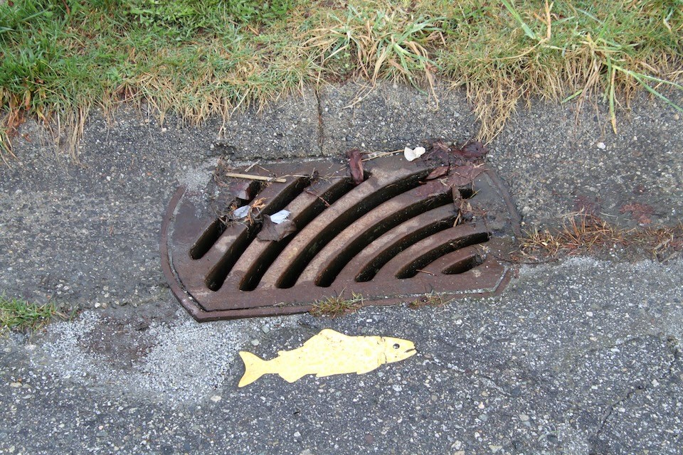 yellow-fish-storm-drain-initiative-vanocuver-canada