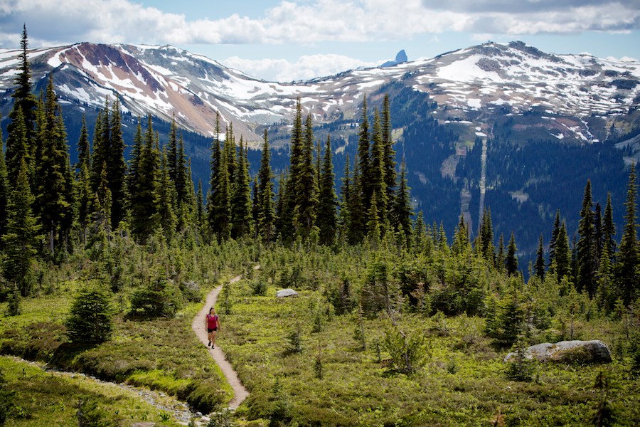 whistler-blackcomb-hiking-summer