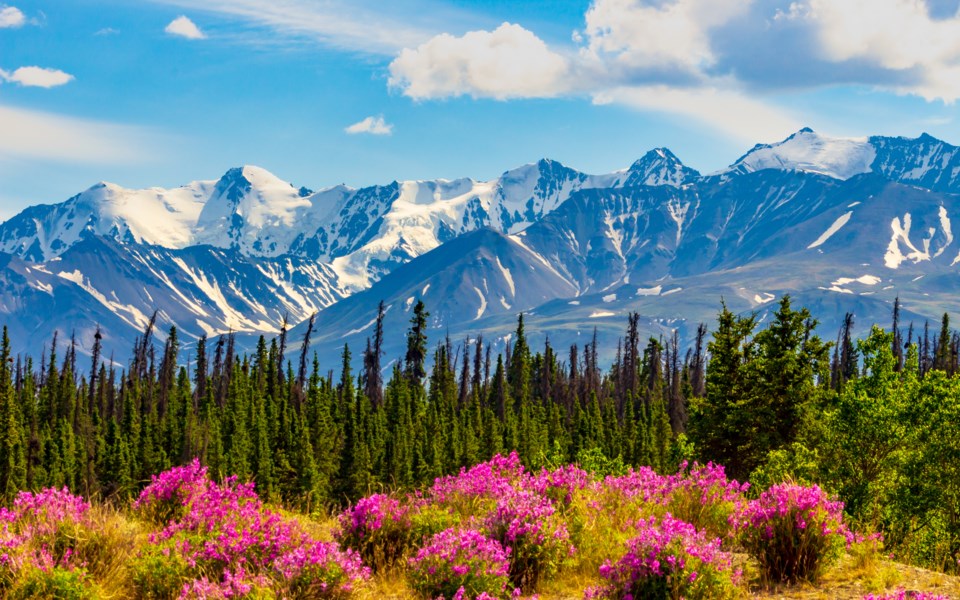 yukon-territory-canada