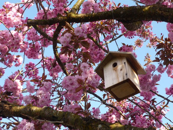 anotherbirdhouse