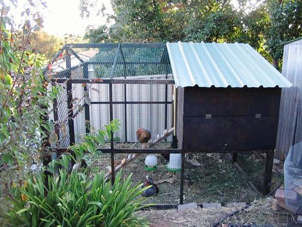 eastvanchickencoop