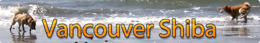 header_bg
