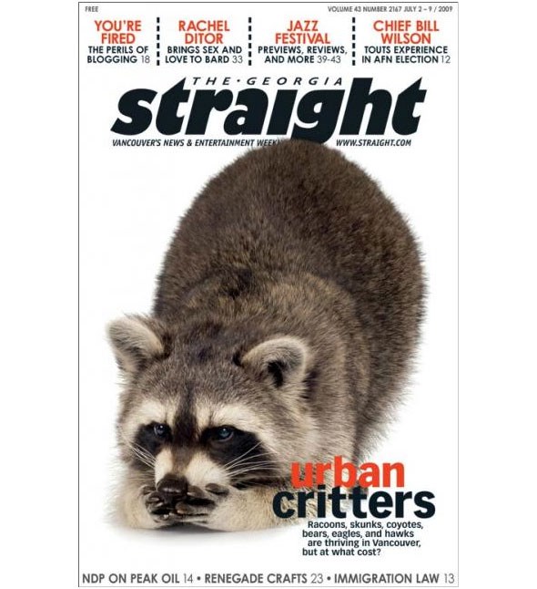 straightcritters