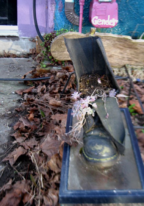 unusualplanter2 unusualplanter2