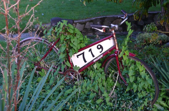 bike_number_01