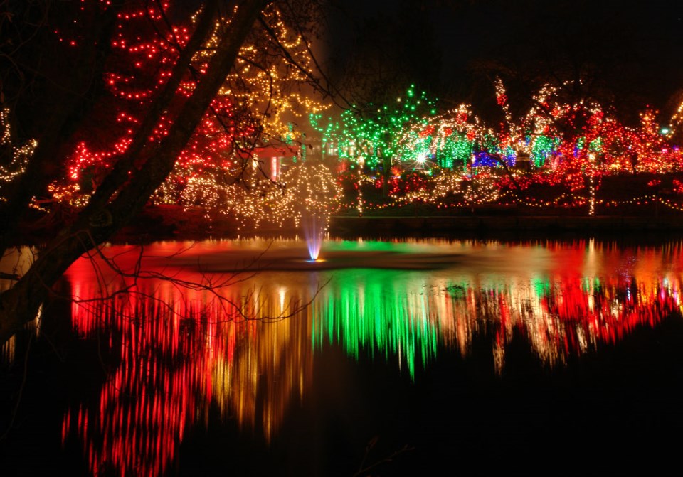 fest-of-lights