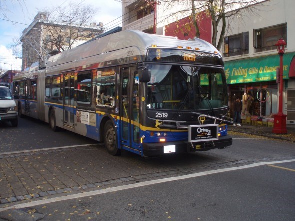 Translink Bus