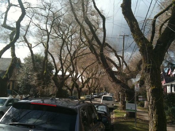 6thavetrees