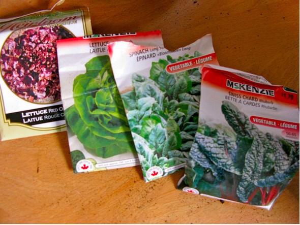 gardenseeds