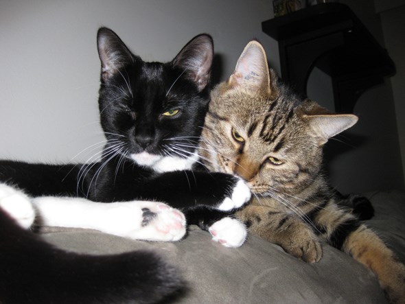Prudence and Tony Button 2