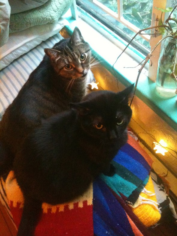 Sage and Peanut 1