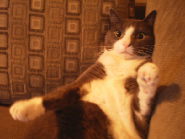 Sir Charles