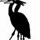 ardea-books