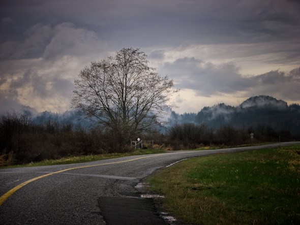 Pitt-Addington Wetlands, Pitt Meadows