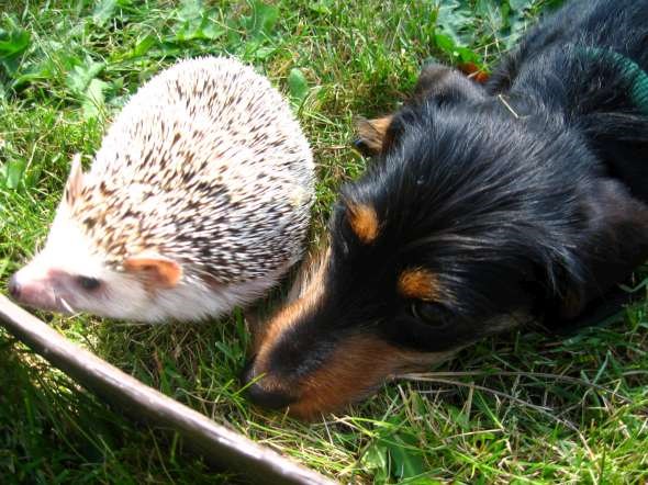 photo-10-590