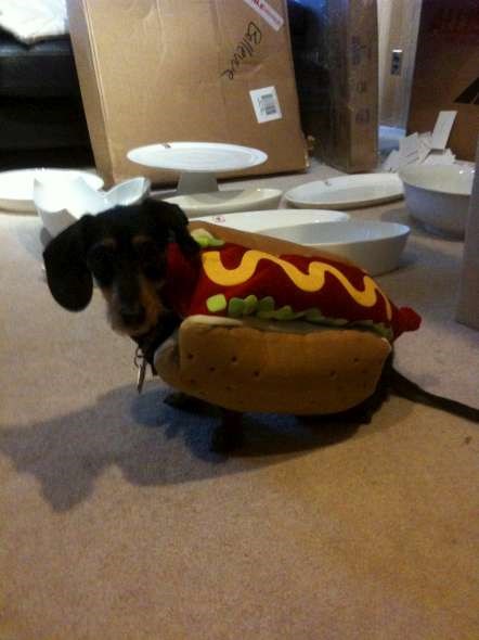 photo-11-590