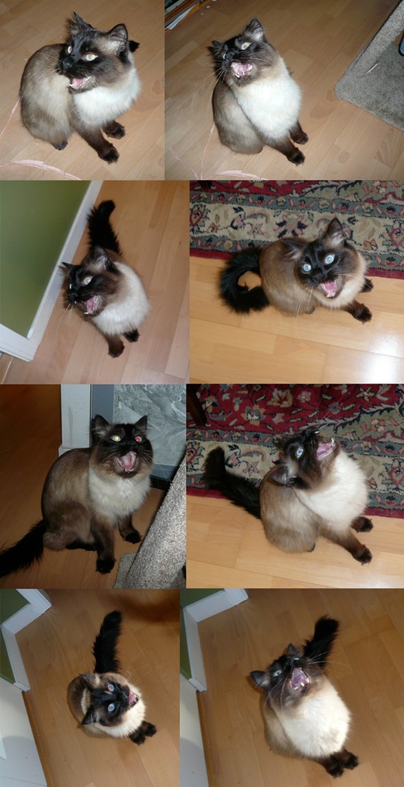 theo-mouth