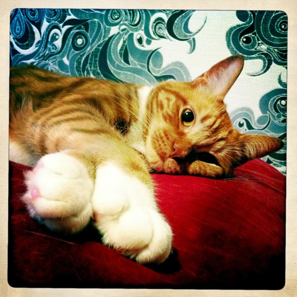 Hamish1