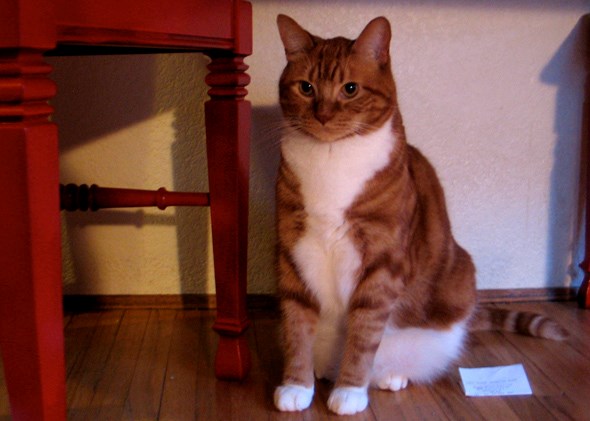 Hamish3