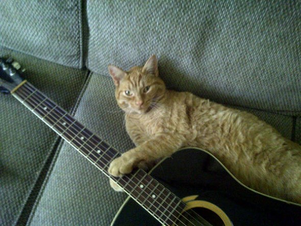 jack2