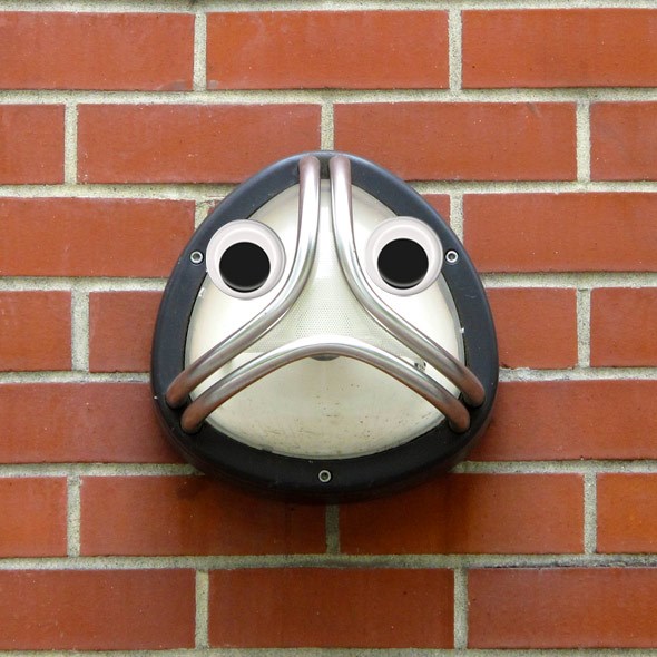 fish face