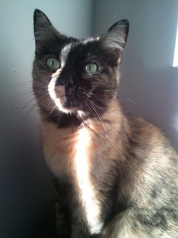 MollyWaffles2
