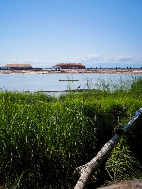 Wreck Beach, University Endowment Lands