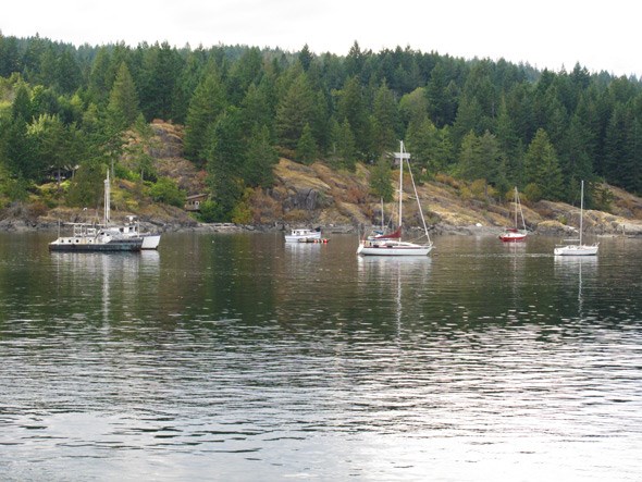 Quadra Island harbour