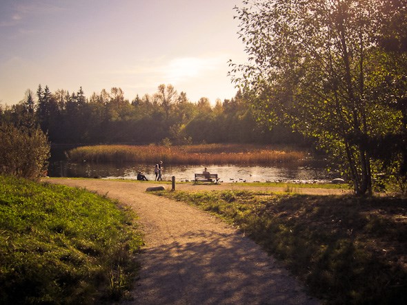 Green Timbers Urban Forest Park