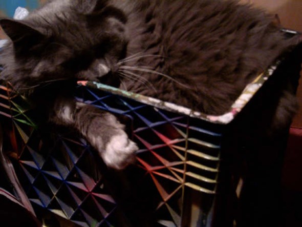 kyle sleeping in a milk crate full of spray paint