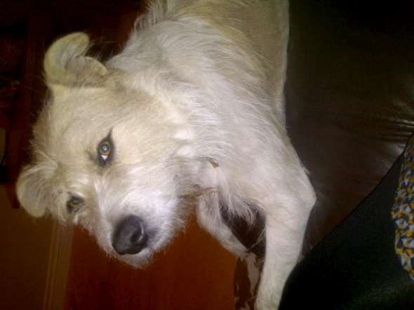 IMG-20111022-00231-W590