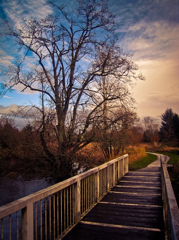 Portage Park, Langley City