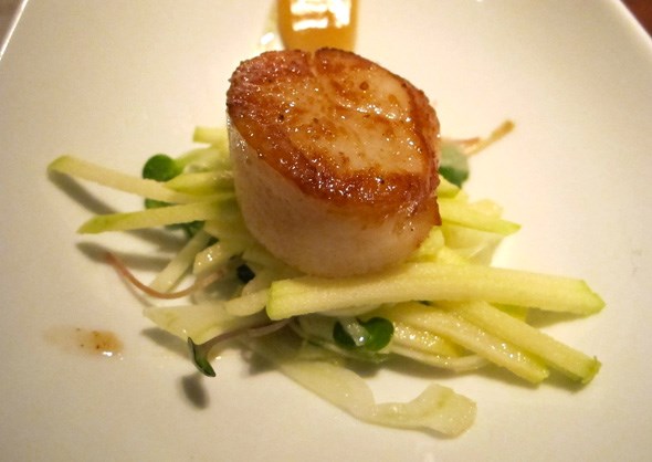 scallop