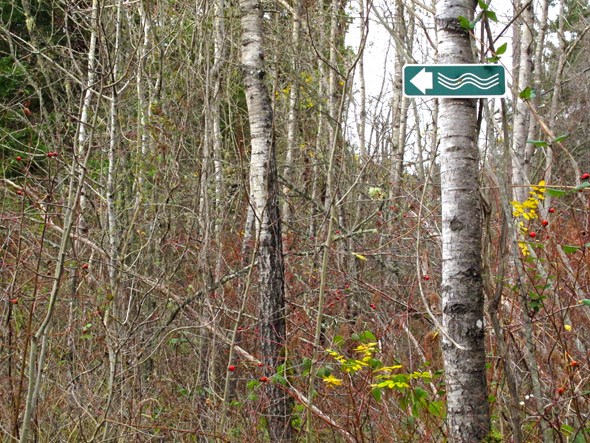 beach access sign