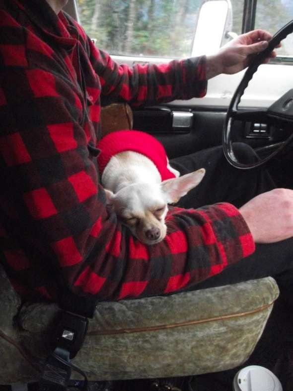 paco sleep2-W590