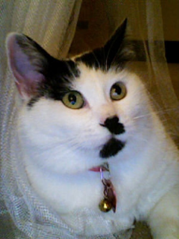 Kristy Pic