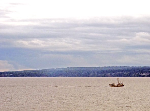 ferry ride to tofino