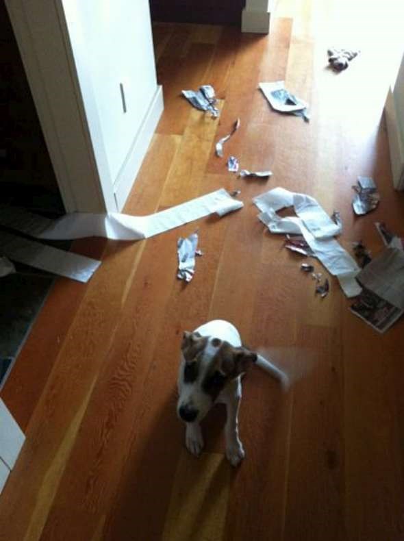 photo (4)_opt-W590