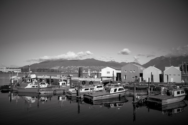 _MG_3897