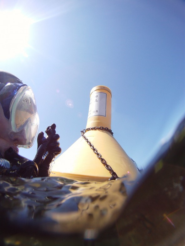 scuba diving at porteau cove