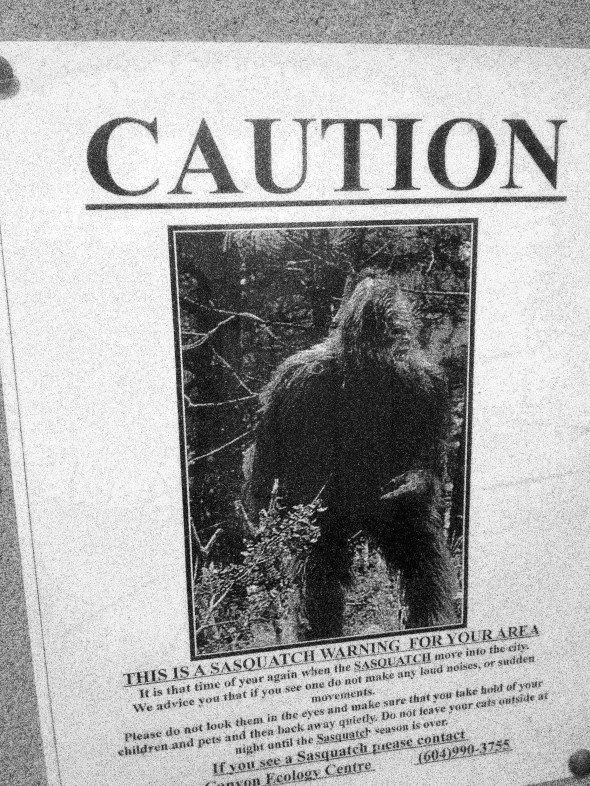 Sasquatch poster at Lynn Canyon, North Vancouver