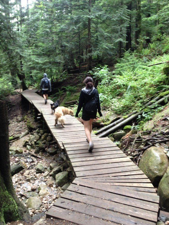HIking on the Baden Powell Trail  in Vancouver, Canada