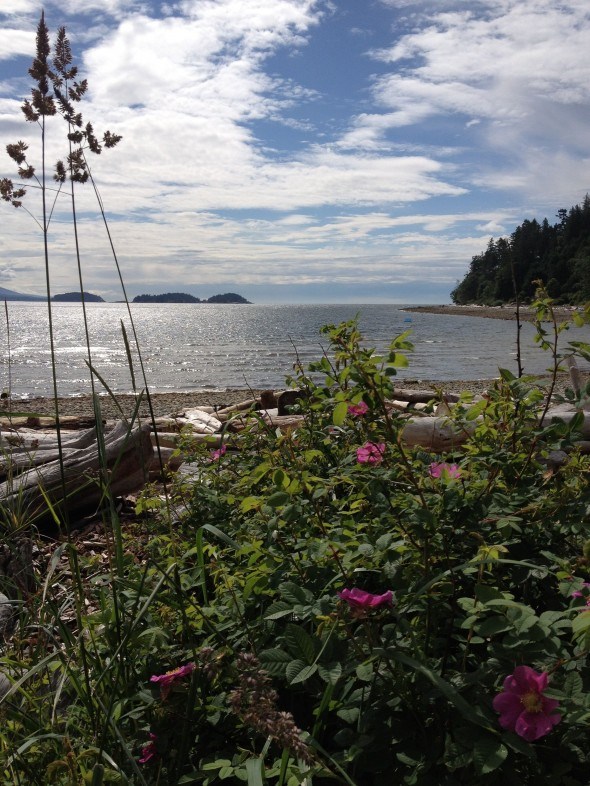 Sargeant Bay Provincial Park, Sunshine Coast BC