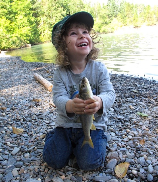 arlo-fish-harisson