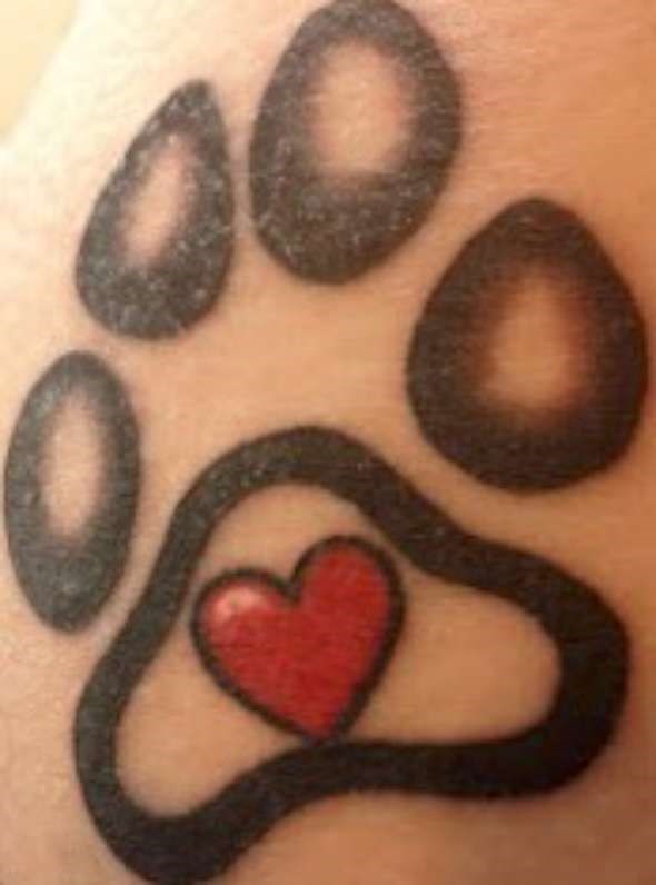 hiptattoopaw-W590