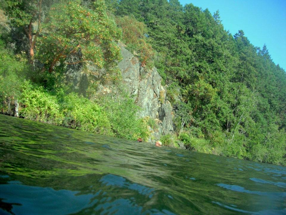 Thetis Lake Victoria 