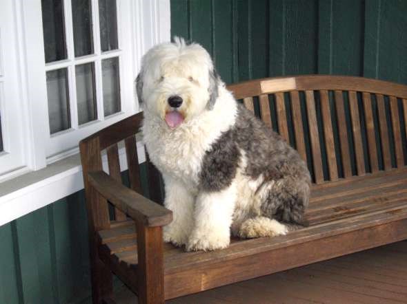 Hamish on the porch at the Golf House-W590
