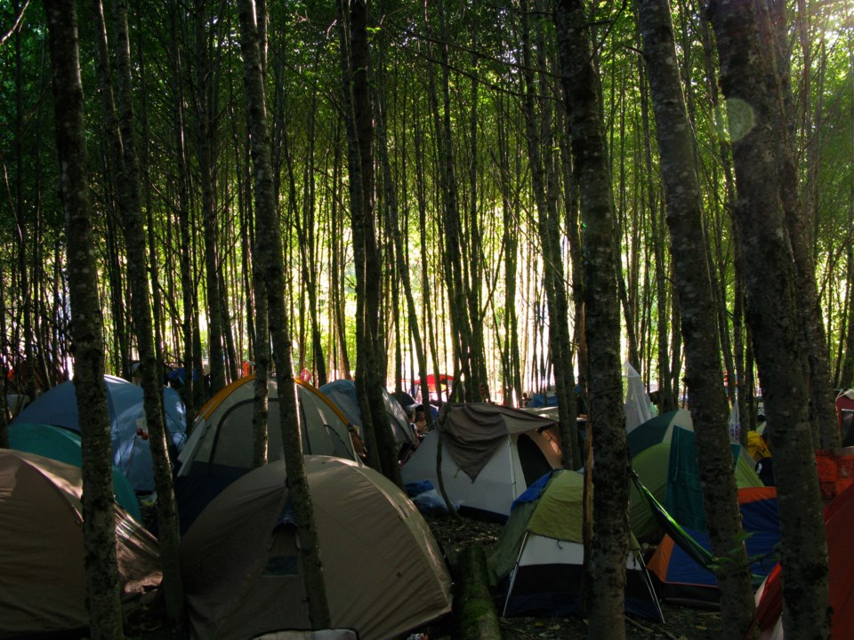 Moo camp at Bass Coast at Squamish Valley Campgrounds