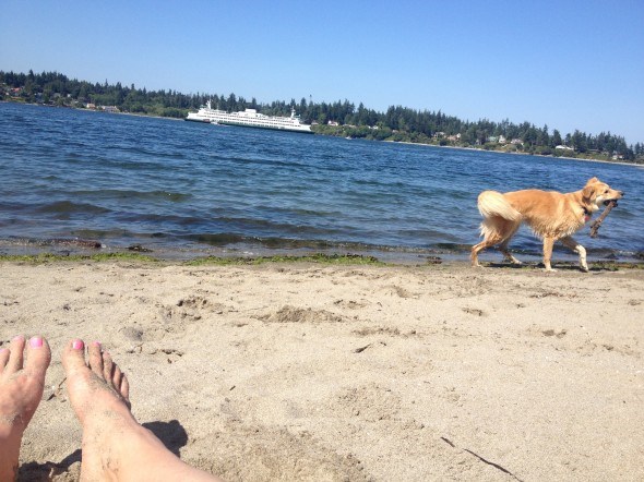 bainbridge island beach 