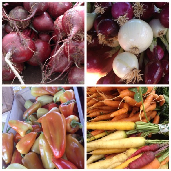 Fresh vegetables from the Slow Food Cycle